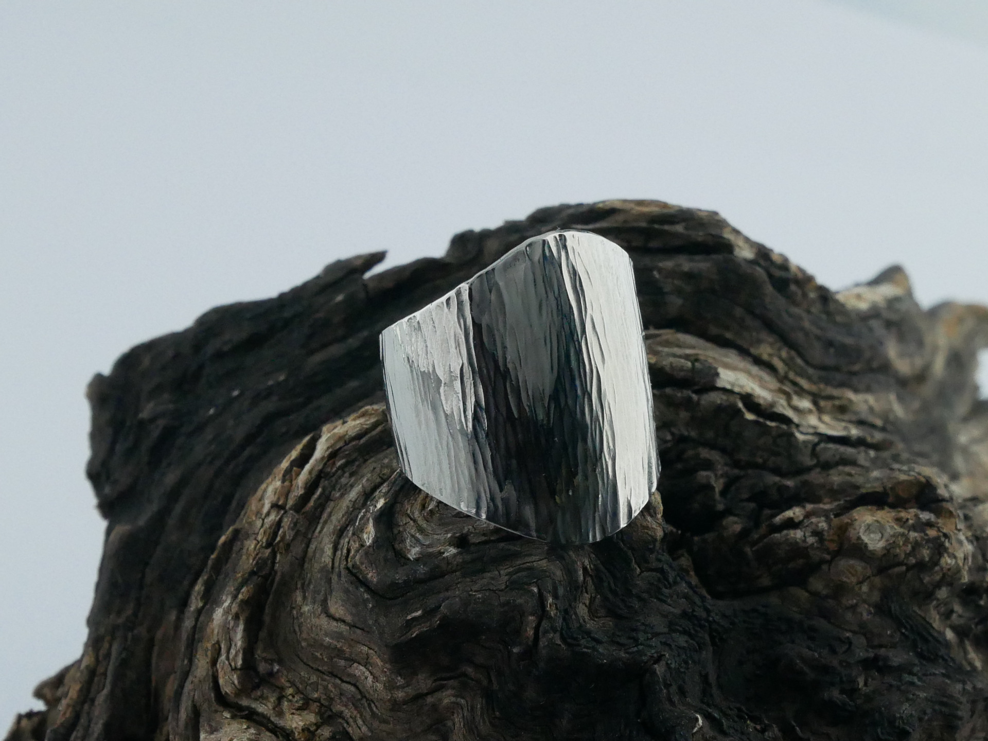 prsten z chirurgické oceli(316L)ZOTA